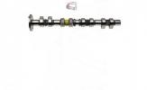 CP11931 CAMPRO