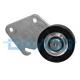 APV1010 DAYCO