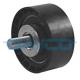 APV1029 DAYCO