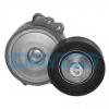 APV1030 DAYCO