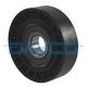 APV1032 DAYCO