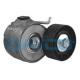 APV1078 DAYCO
