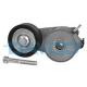 APV1079 DAYCO