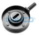 APV2031 DAYCO