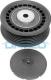 APV2106 DAYCO