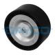 APV2396 DAYCO