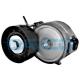 APV2424              DAYCO