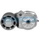 APV2454 DAYCO