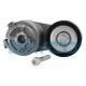 APV2479 DAYCO