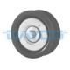 APV2480 DAYCO