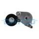 APV2485 DAYCO