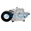 APV2557 DAYCO