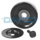 APV2666 DAYCO