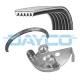 PVE002 DAYCO