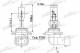 PLHB31260 PATRON