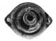 00251 Metalcaucho