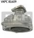 VKPC81609 SKF