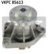 VKPC85613 SKF