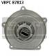 VKPC87813 SKF