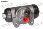 R220006A1 FTE