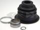 300573 LOEBRO