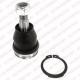 TC1006 DELPHI