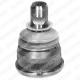 TC388 DELPHI