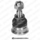 TC435 DELPHI