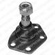 TC829 DELPHI