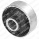 TD244W DELPHI