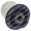 TD313W DELPHI