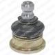 TC1306 DELPHI