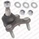 TC1316 DELPHI