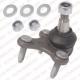 TC1317 DELPHI