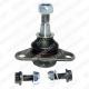 TC1519 DELPHI