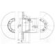 BG2163 DELPHI