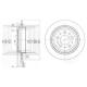 BG3419 DELPHI