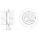 BG4031 DELPHI
