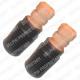 PCK21 DELPHI
