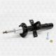 DH1136 TORR