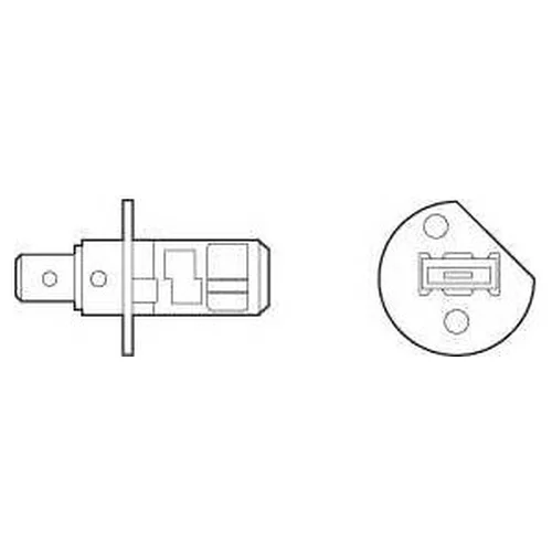  (H1) 55W 12V P14, 5S  32003