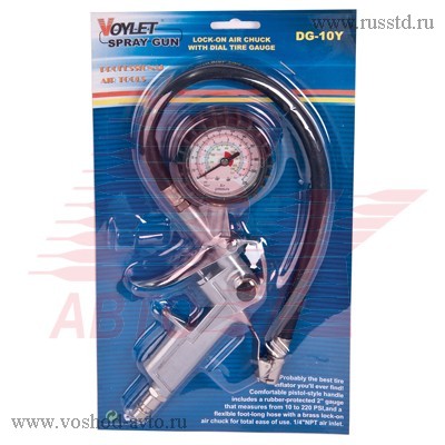       VOYLET DG-10Y DG-10Y Voylet