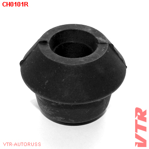      CH0101R