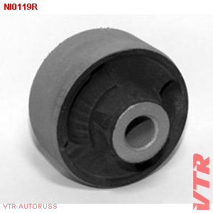   NI0119R
