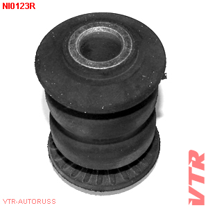    ,  NI0123R