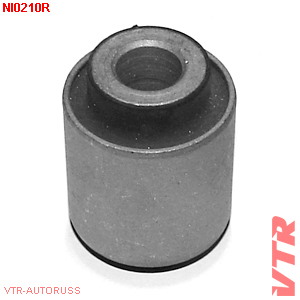     NI0210R