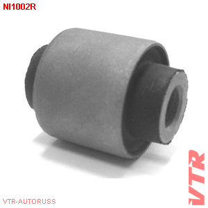      NI1002R