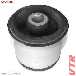    NI5101R